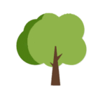trees 1