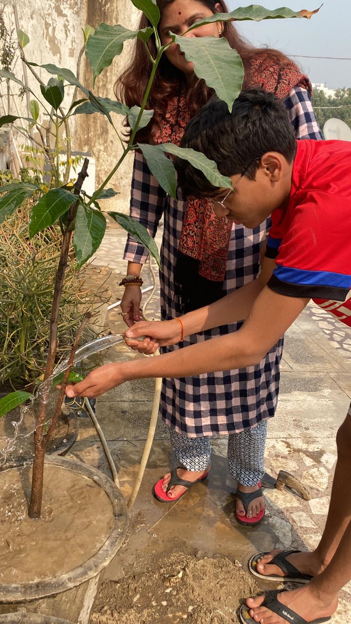 what we do tree plantation