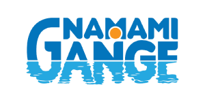 partners namami gange
